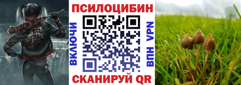Псилоцибиновые грибы GOLDEN TEACHER  hydra ONION  Зеленоградск 